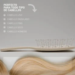 CEPILLO BIODEGRADABLE PLANO