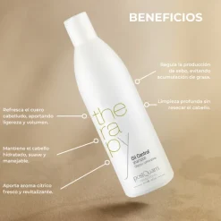 CHAMPU ANTIGRASA 250 ML