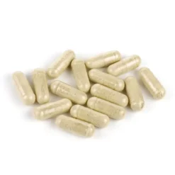 HEPATOPLAN FORTE 30 CAPSULAS