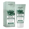 MASCARILLA ARCILLA VERDE PURE CLAY 100ML
