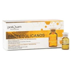 PROTEOGLICANOS ANTIOX POSTQUAM 10*2ML