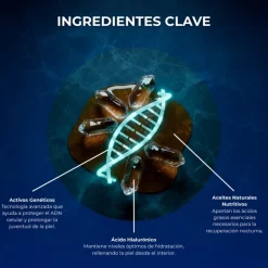 X-LIFT GENETIC NIGHT CREAM